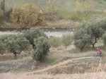 PC050253.jpg
