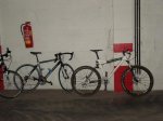 DSC00184.jpg