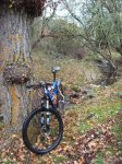 DSCF1050.JPG