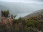 DSCF1053.JPG