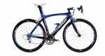 noah_0020_blue.JPG