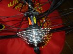 DSC00367.jpg