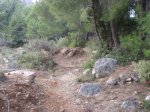 PC070019.jpg