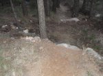PC070035.jpg