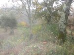 IMG_4842.jpg