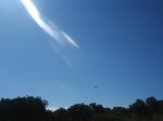 PIC_0024.jpg