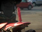 bike_045b45d.jpg
