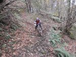 PC061211.jpg