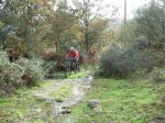 DSCN1766 (Large).JPG