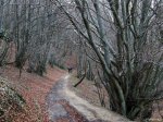 DSCN6607.jpg