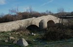 P1040528_1000x648.JPG