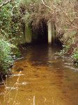 DSC07377.JPG