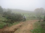 IMG_4876.jpg