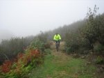 IMG_4878.jpg