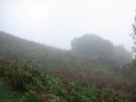 IMG_4879.jpg