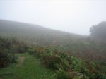 IMG_4883.jpg