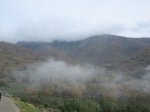 IMG_4885.jpg