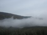 IMG_4886.jpg