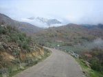 IMG_4889.jpg