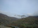 IMG_4890.jpg