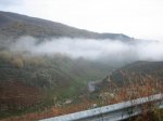 IMG_4891.jpg
