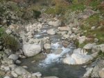 IMG_4892.jpg