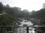 IMG_4895.jpg