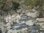 IMG_4896.jpg