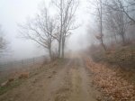 P1040584_1000x750.JPG