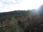 IMG_8660.JPG