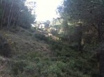 IMG_0120.jpg