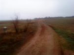 DSC00106.jpg