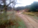 DSC00108.jpg