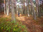 Foto21.JPG