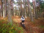 Foto22.JPG