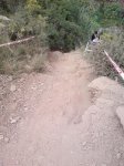 DSC00394.jpg