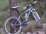 PC080045_resize.JPG