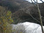 DSCN1186.jpg