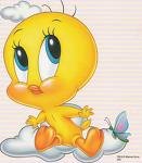 piolin.jpg