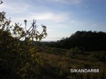 PC060002.JPG