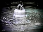 agua (1 de 1).jpg