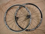 DSC08686.jpg