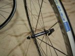 DSC08689.jpg