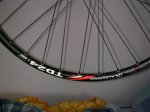 SANY0004.JPG
