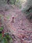 DSC02943.jpg