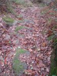 DSC02945.jpg