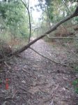 DSC02938.jpg