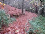 DSC02940.jpg