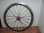 PC070378.jpg