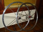 DSC00384.jpg